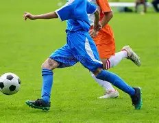 國際邁阿密,決定釋放內,維爾,球探官网,球探比分,球探体育,球探直播,球探足球