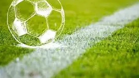 戴琳直播融资揭秘：借款技巧惊人相似，观众微信遭诱骗！