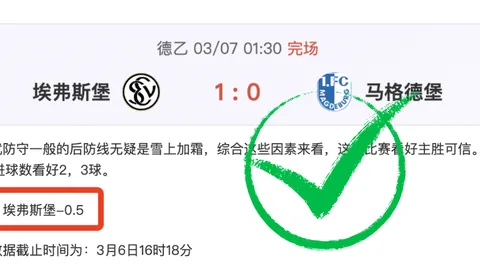 那不勒斯瞄准弗拉泰西？迪马济奥曝潜在引援计划